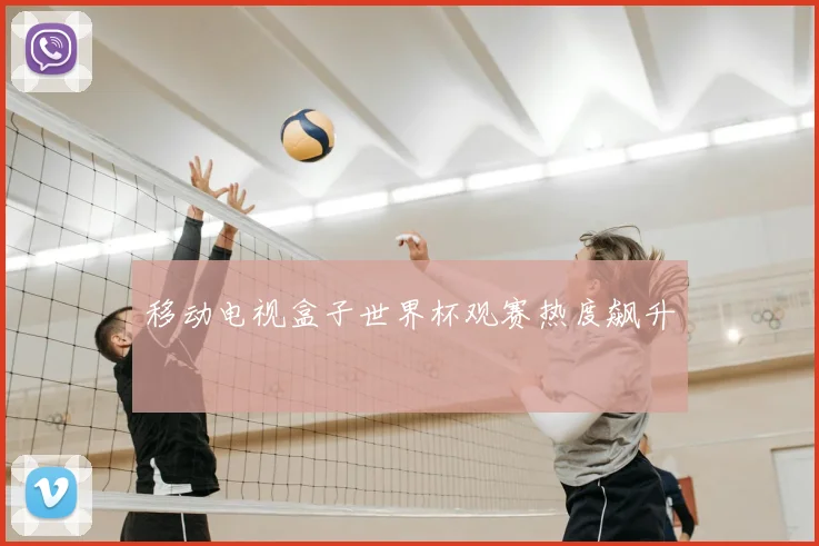 移动电视盒子世界杯观赛热度飙升