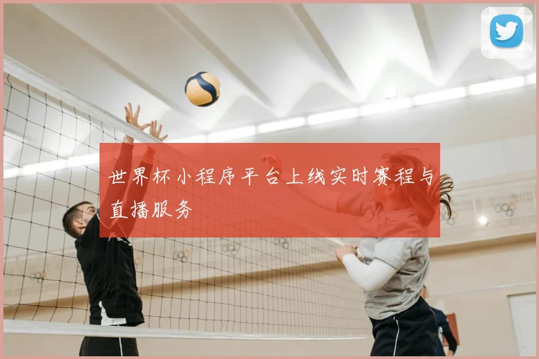 世界杯小程序平台上线实时赛程与直播服务