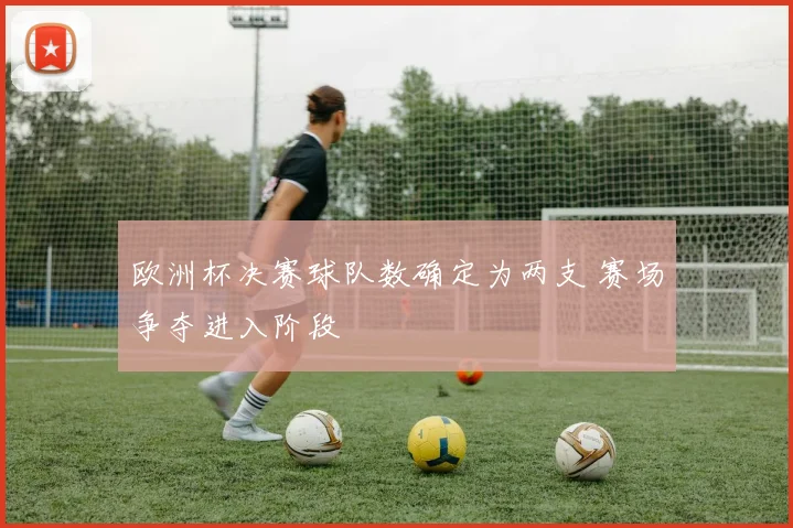 欧洲杯决赛球队数确定为两支 赛场争夺进入阶段