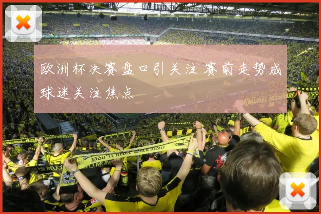 欧洲杯决赛盘口引关注 赛前走势成球迷关注焦点